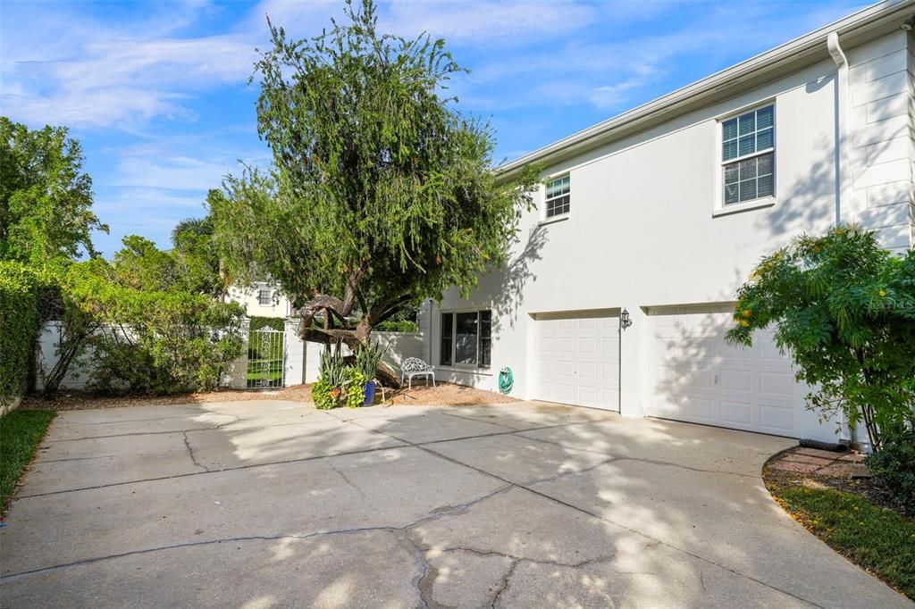 В аренду: $15,000 (5 спален, 3 ванн, 4448 Квадратных фут)