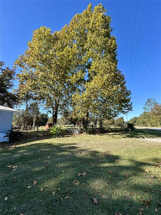 Activo con contrato: $199,000 (3 camas, 2 baños, 960 Pies cuadrados)