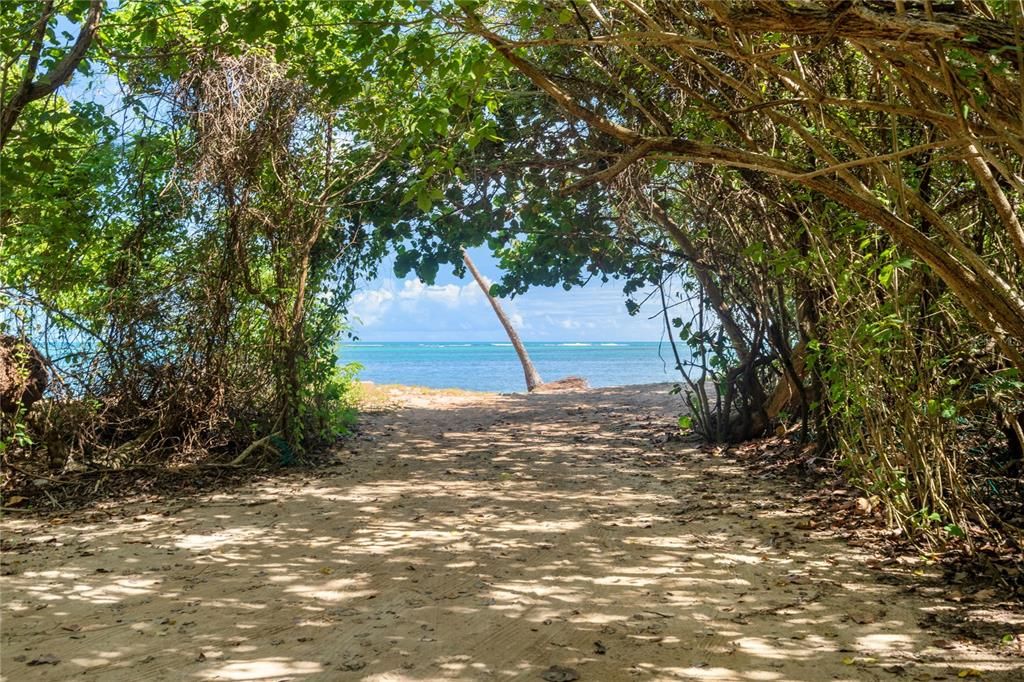 For Sale: $885,000 (1 beds, 1 baths, 975 Square Feet)