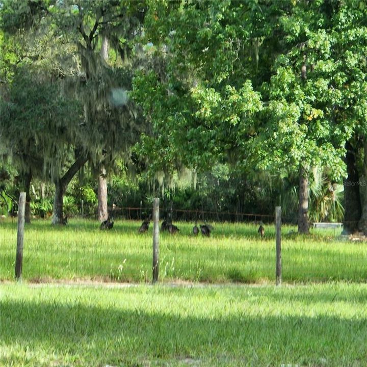 На продажу: $415,000 (3 спален, 2 ванн, 2136 Квадратных фут)