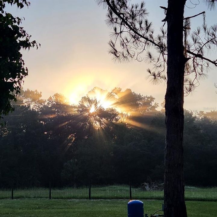 На продажу: $415,000 (3 спален, 2 ванн, 2136 Квадратных фут)