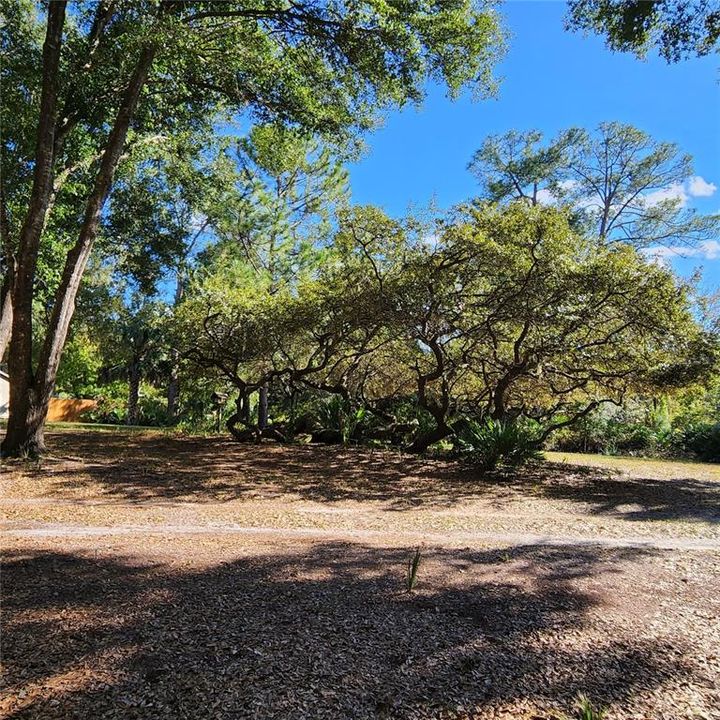 На продажу: $415,000 (3 спален, 2 ванн, 2136 Квадратных фут)