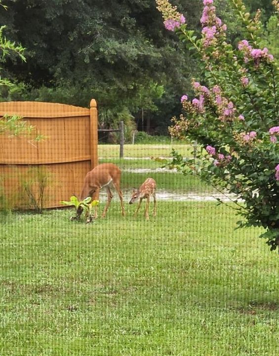 На продажу: $415,000 (3 спален, 2 ванн, 2136 Квадратных фут)