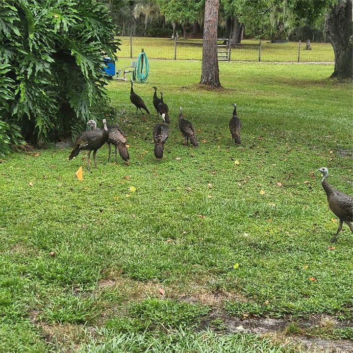 На продажу: $415,000 (3 спален, 2 ванн, 2136 Квадратных фут)