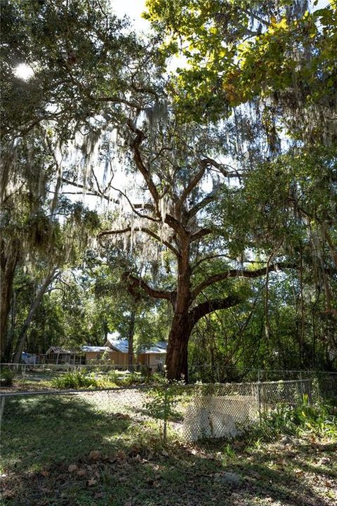 For Sale: $365,000 (4 beds, 2 baths, 1965 Square Feet)