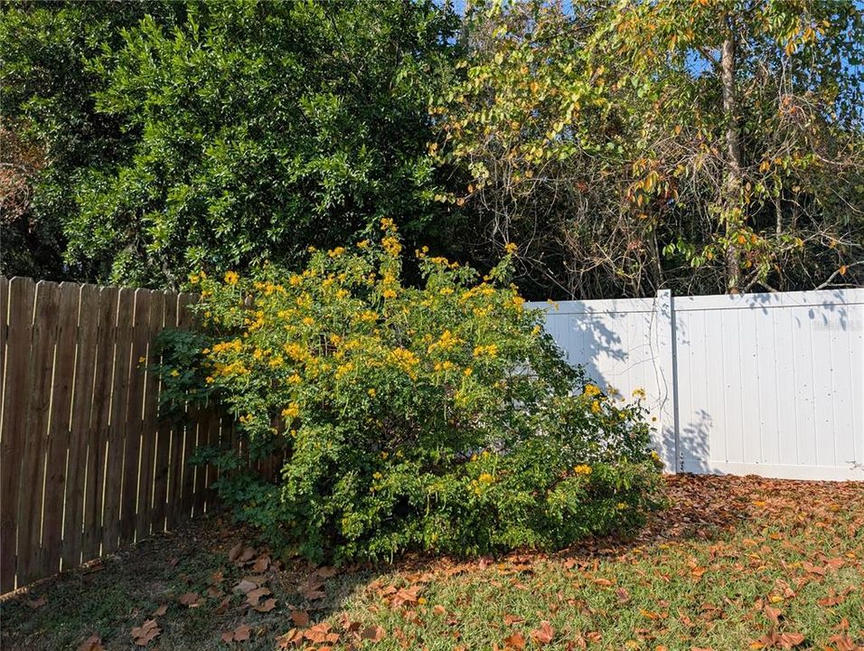 En Venta: $234,000 (2 camas, 2 baños, 1150 Pies cuadrados)