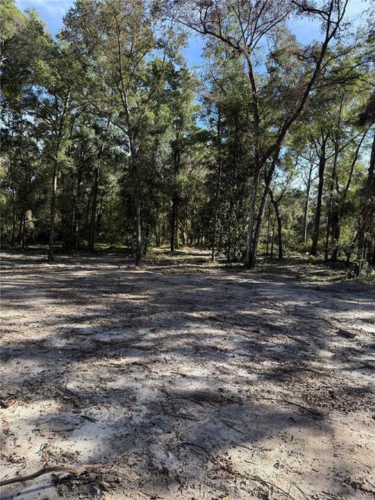 For Sale: $245,000 (6.00 acres)