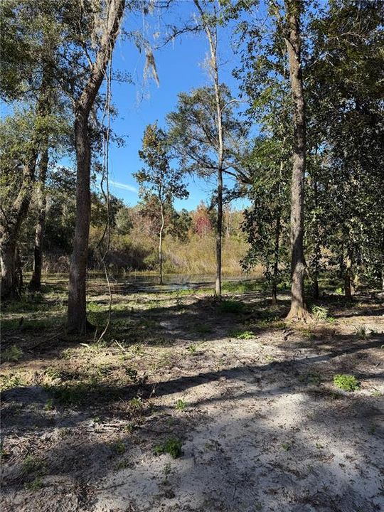 For Sale: $245,000 (6.00 acres)
