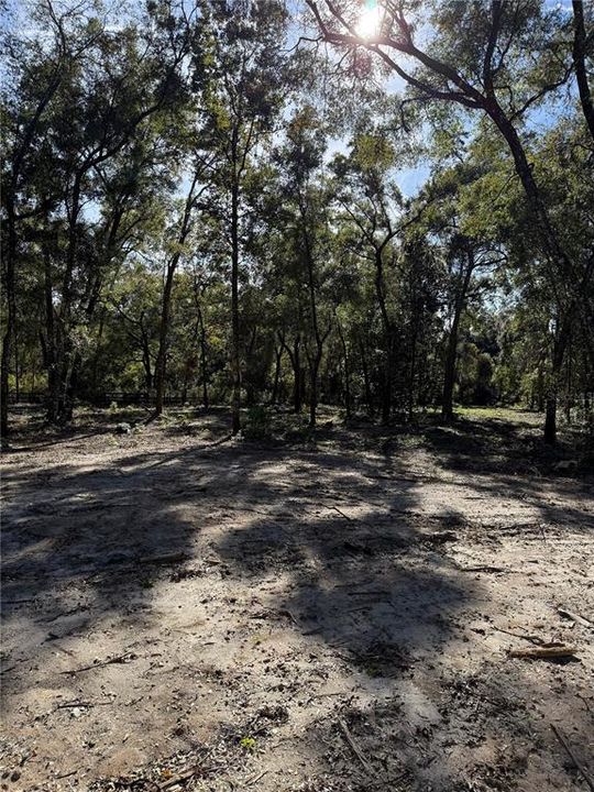 For Sale: $245,000 (6.00 acres)