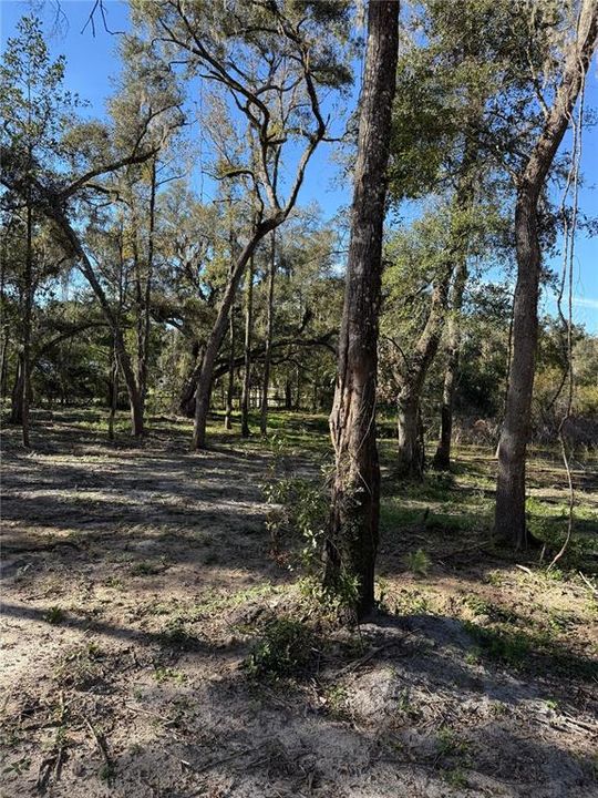 For Sale: $245,000 (6.00 acres)