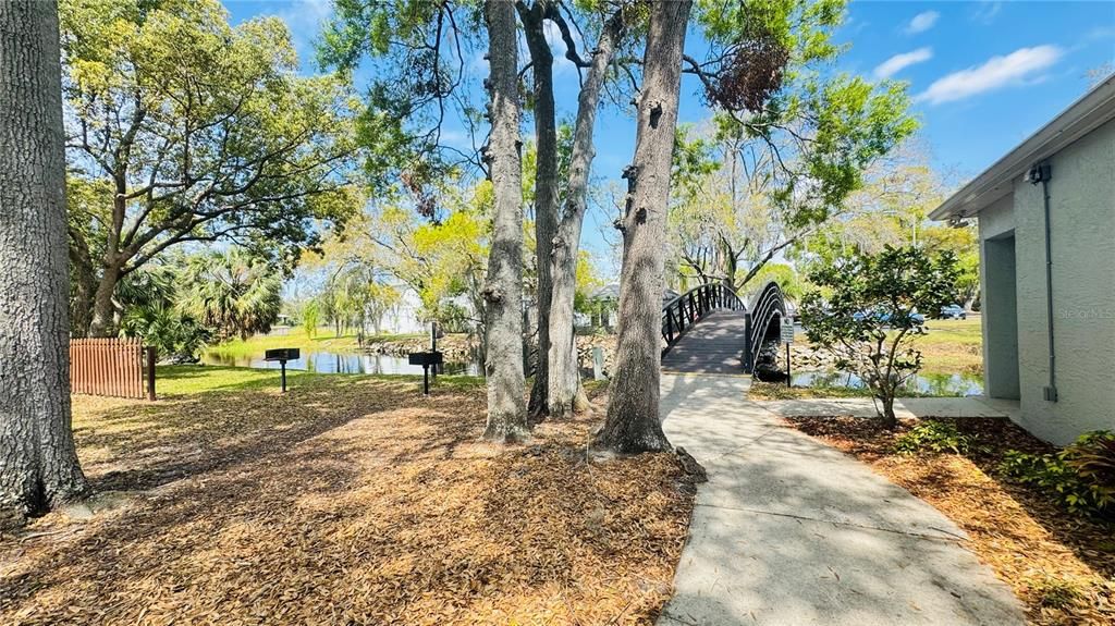 待售: $109,500 (1 贝兹, 1 浴室, 626 平方英尺)