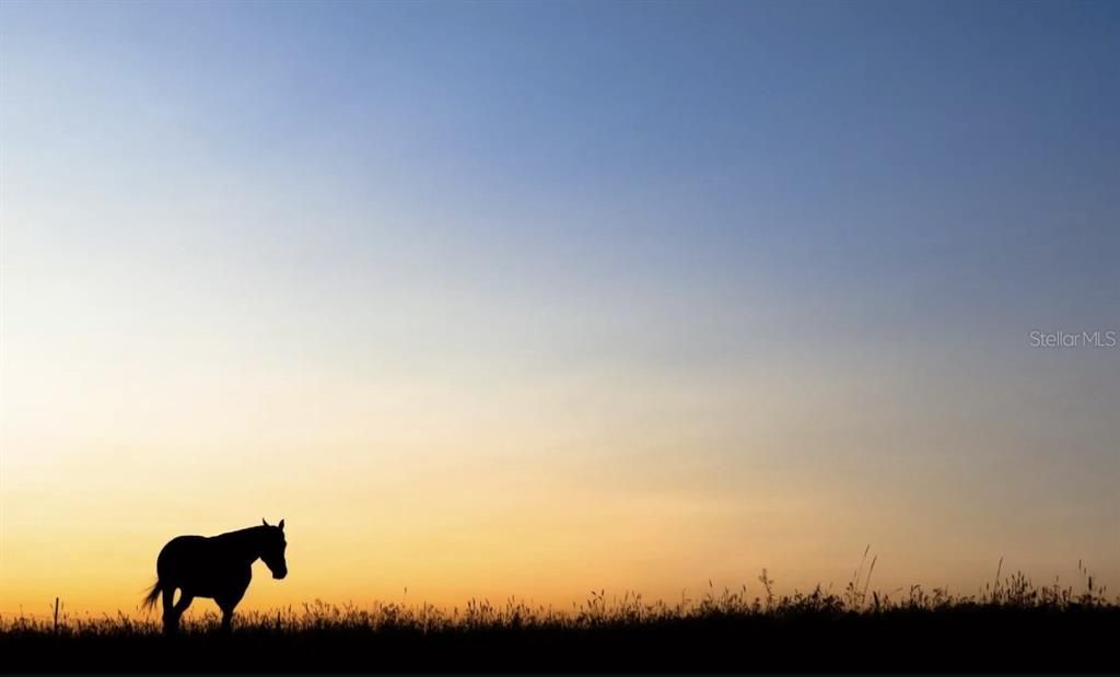 Active With Contract: $459,900 (4 beds, 3 baths, 2437 Square Feet)