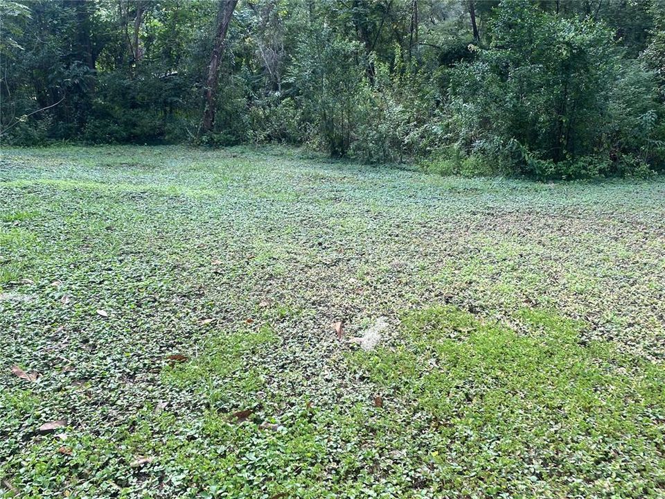 For Sale: $209,500 (3 beds, 1 baths, 976 Square Feet)