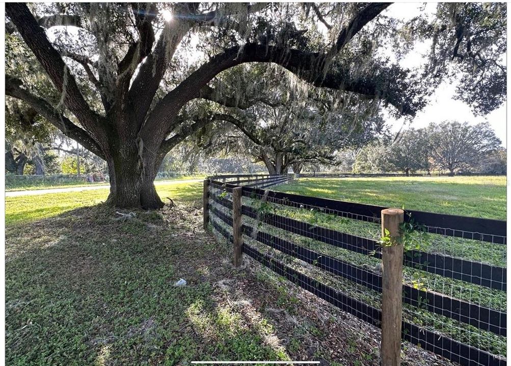 For Sale: $1,600,000 (3 beds, 2 baths, 1804 Square Feet)