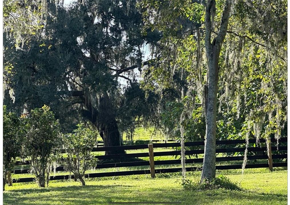 For Sale: $1,600,000 (3 beds, 2 baths, 1804 Square Feet)