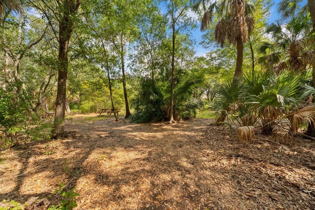 For Rent: $1,600 (2 beds, 1 baths, 800 Square Feet)