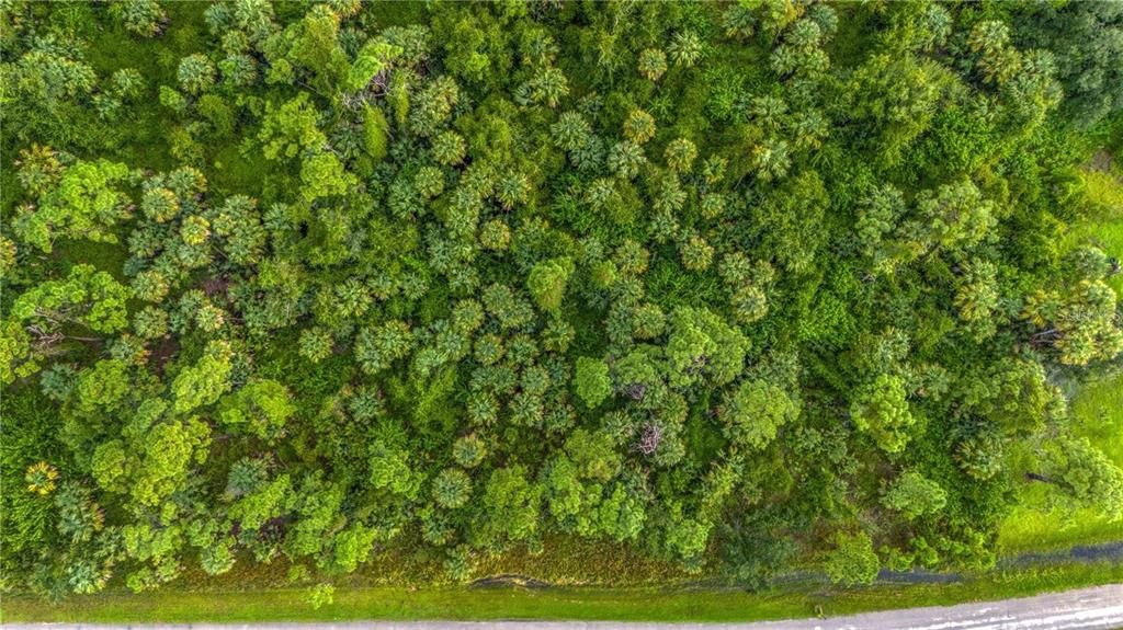 待售: $17,900 (0.21 acres)