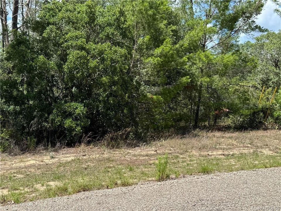 Activo con contrato: $44,900 (1.07 acres)