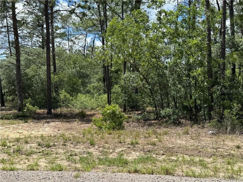 Activo con contrato: $44,900 (1.07 acres)