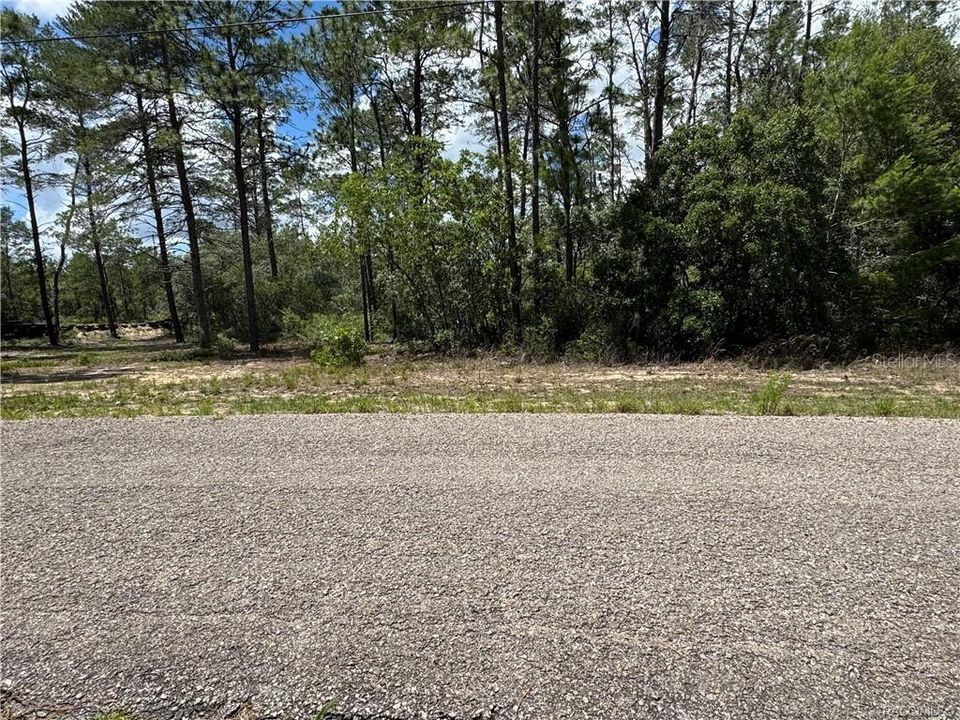 Activo con contrato: $44,900 (1.07 acres)