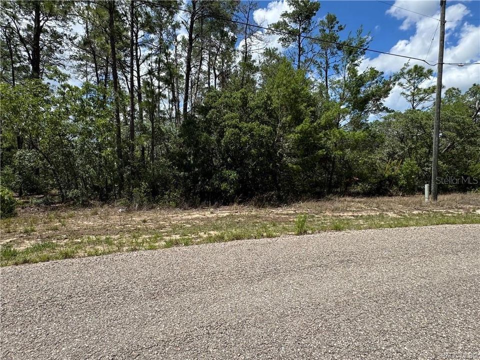 Activo con contrato: $44,900 (1.07 acres)