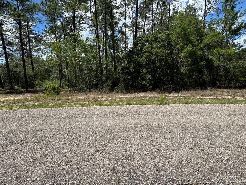 Activo con contrato: $44,900 (1.07 acres)