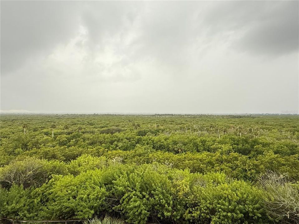 En Venta: $565,000 (3 camas, 2 baños, 1600 Pies cuadrados)