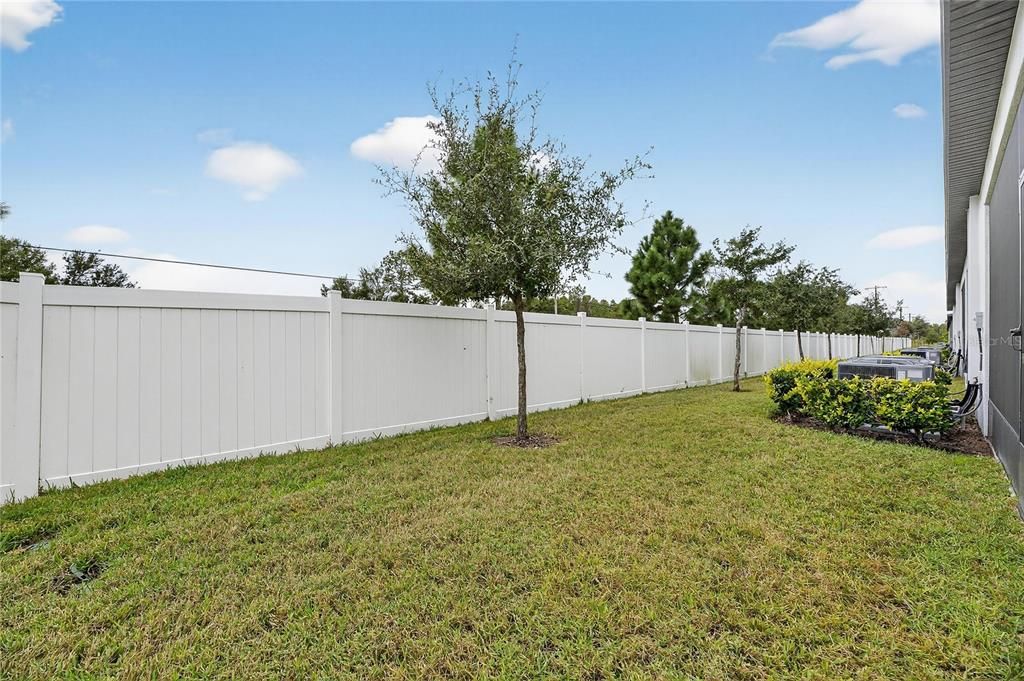 出租: $1,900 (2 贝兹, 2 浴室, 1541 平方英尺)