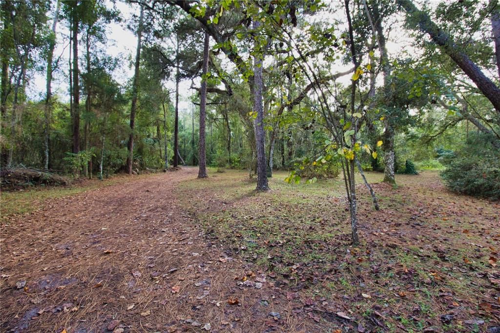 На продажу: $450,000 (4 спален, 2 ванн, 1620 Квадратных фут)