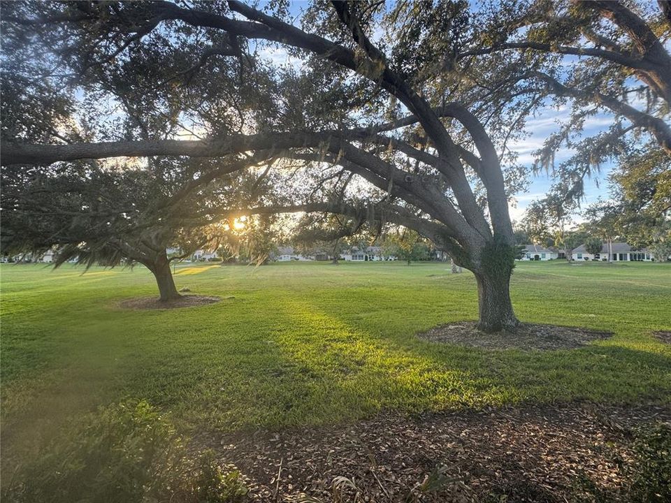 For Rent: $1,850 (2 beds, 2 baths, 1543 Square Feet)