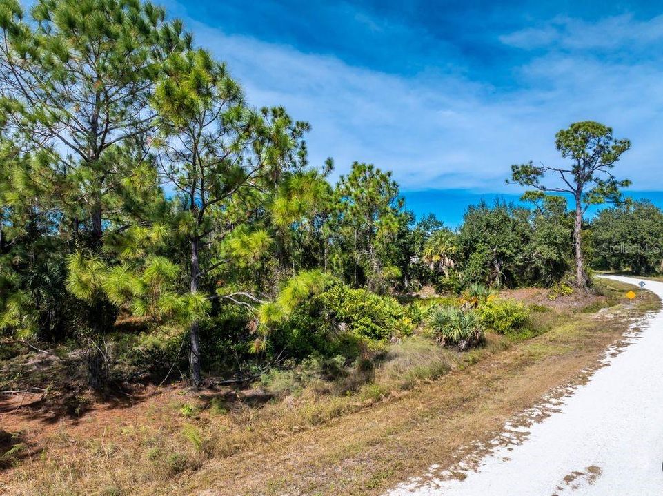 For Sale: $15,900 (0.14 acres)