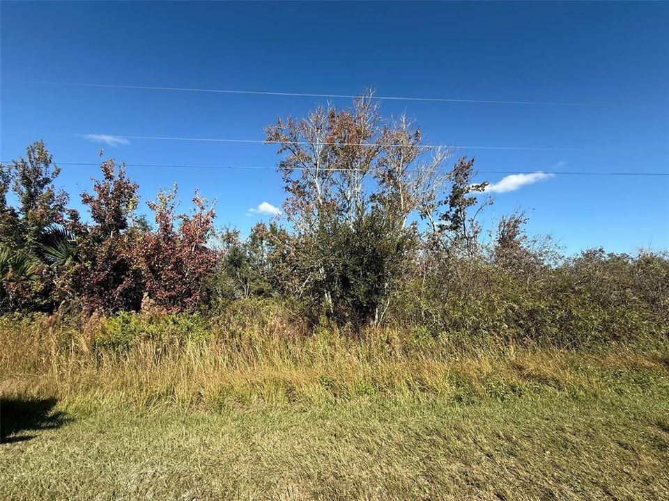 На продажу: $23,900 (1.25 acres)