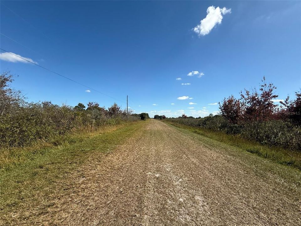 На продажу: $23,900 (1.25 acres)