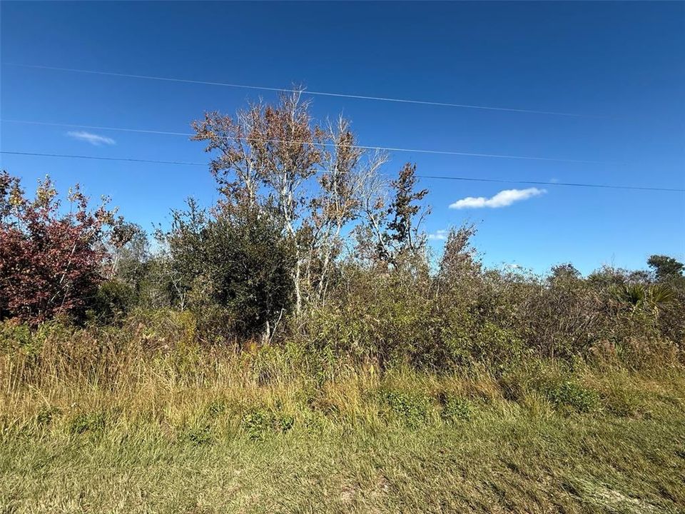 На продажу: $23,900 (1.25 acres)