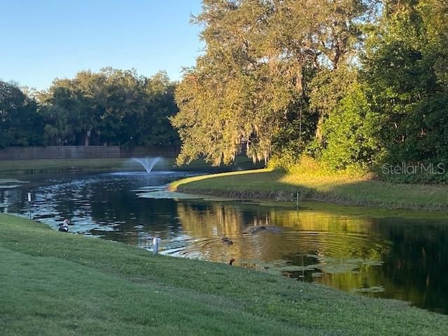 For Sale: $49,000 (0.11 acres)