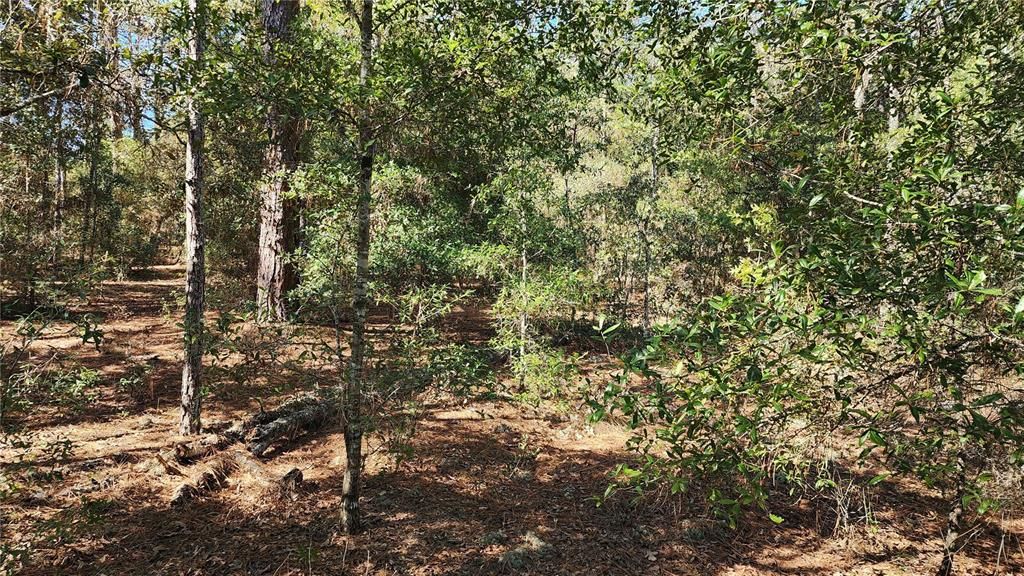 For Sale: $27,000 (0.29 acres)