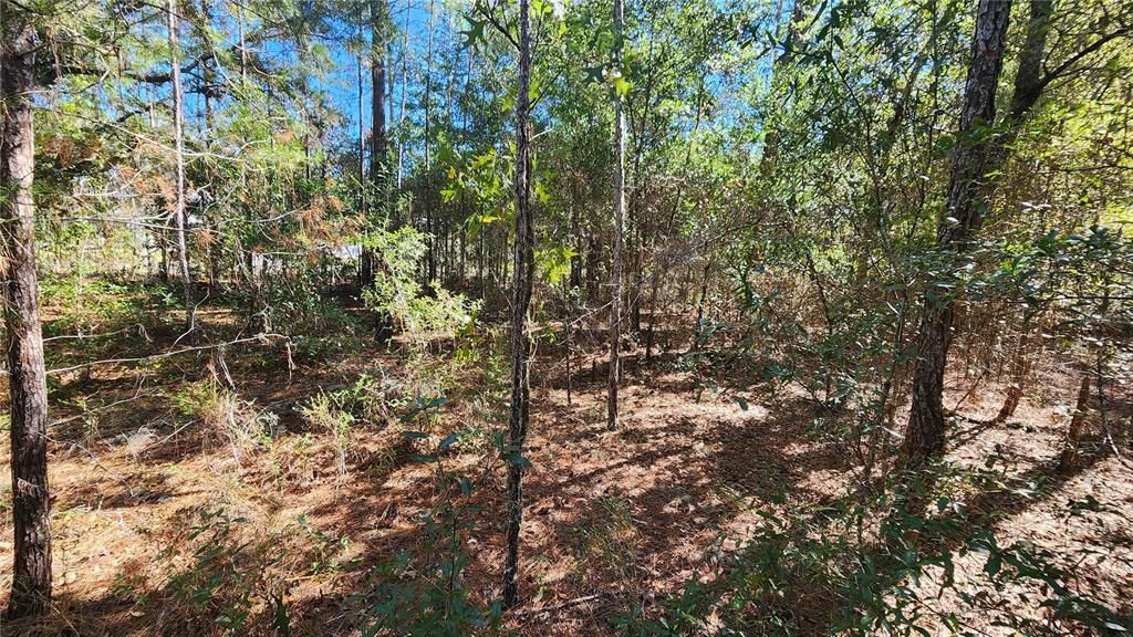 For Sale: $27,000 (0.29 acres)