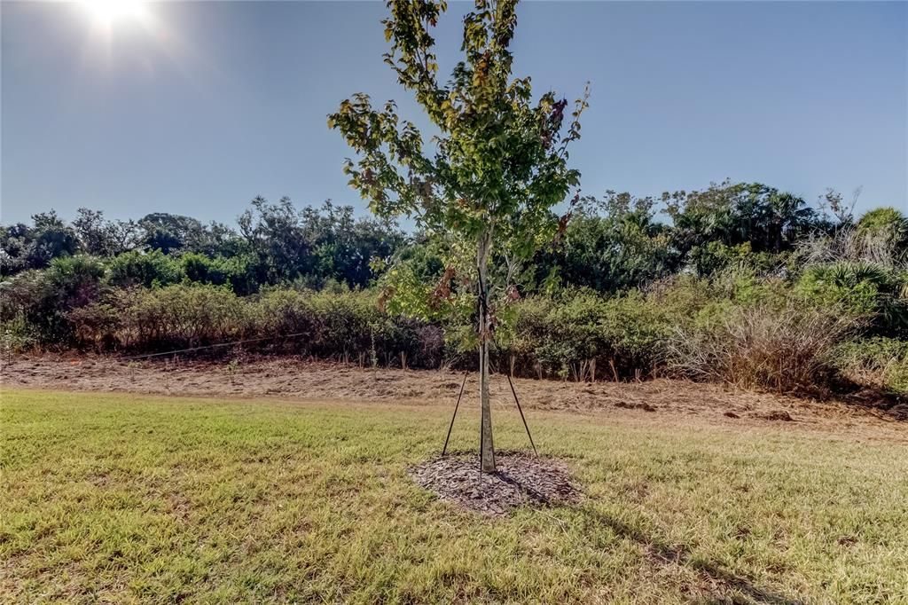 待售: $300,000 (3 贝兹, 2 浴室, 1582 平方英尺)