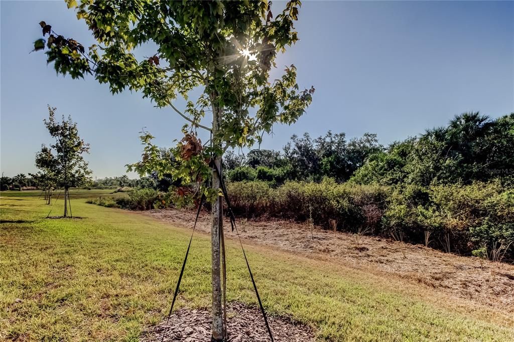 待售: $300,000 (3 贝兹, 2 浴室, 1582 平方英尺)