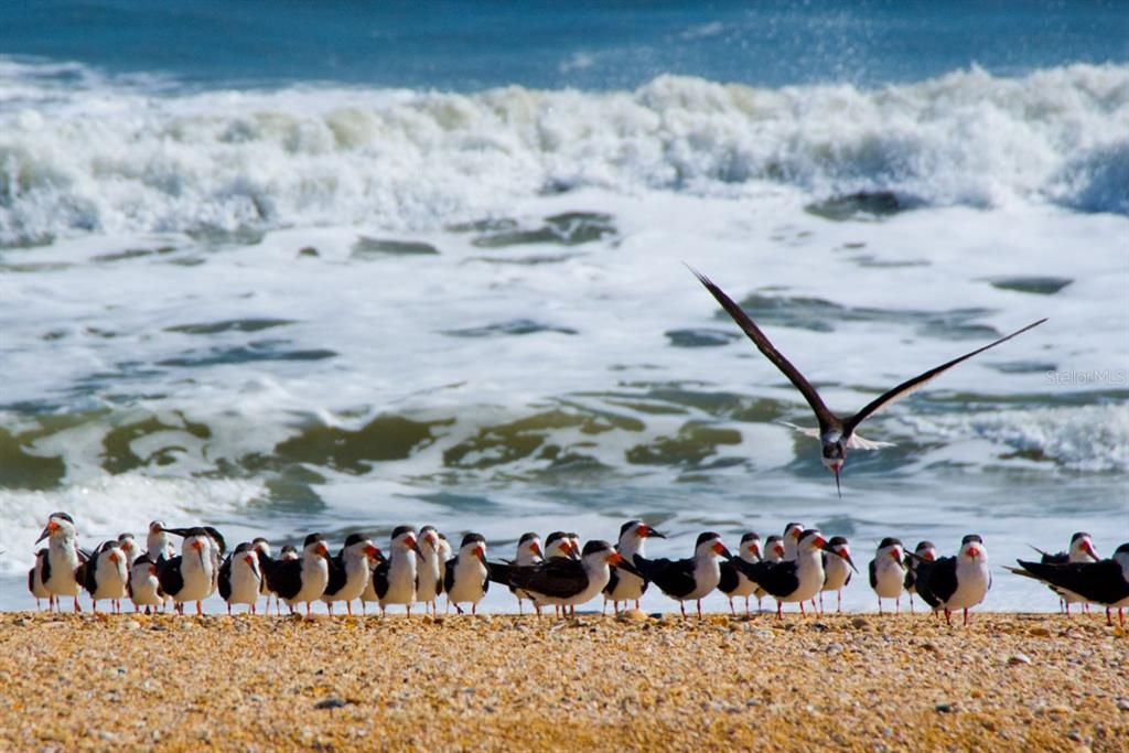 Active With Contract: $769,000 (3 beds, 2 baths, 1596 Square Feet)