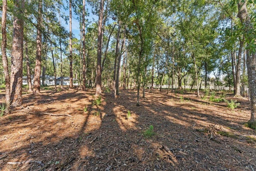 На продажу: $499,900 (3 спален, 2 ванн, 1684 Квадратных фут)