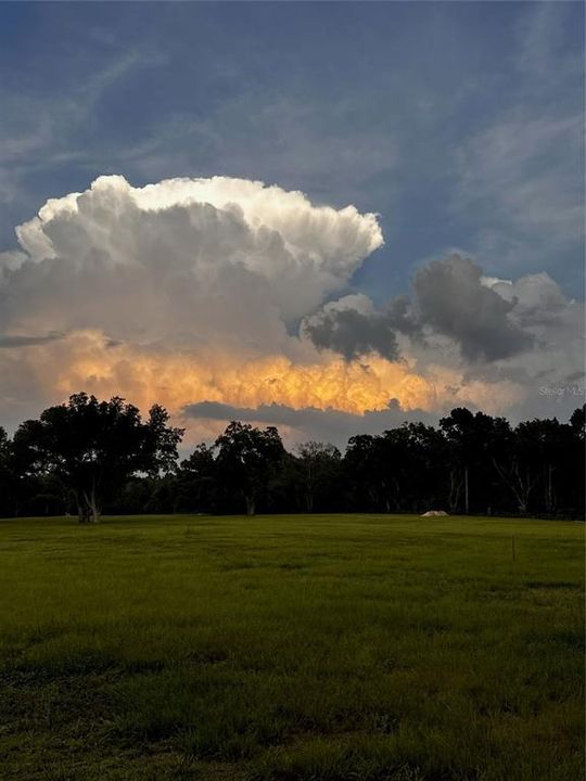 待售: $1,545,000 (2 贝兹, 2 浴室, 2126 平方英尺)