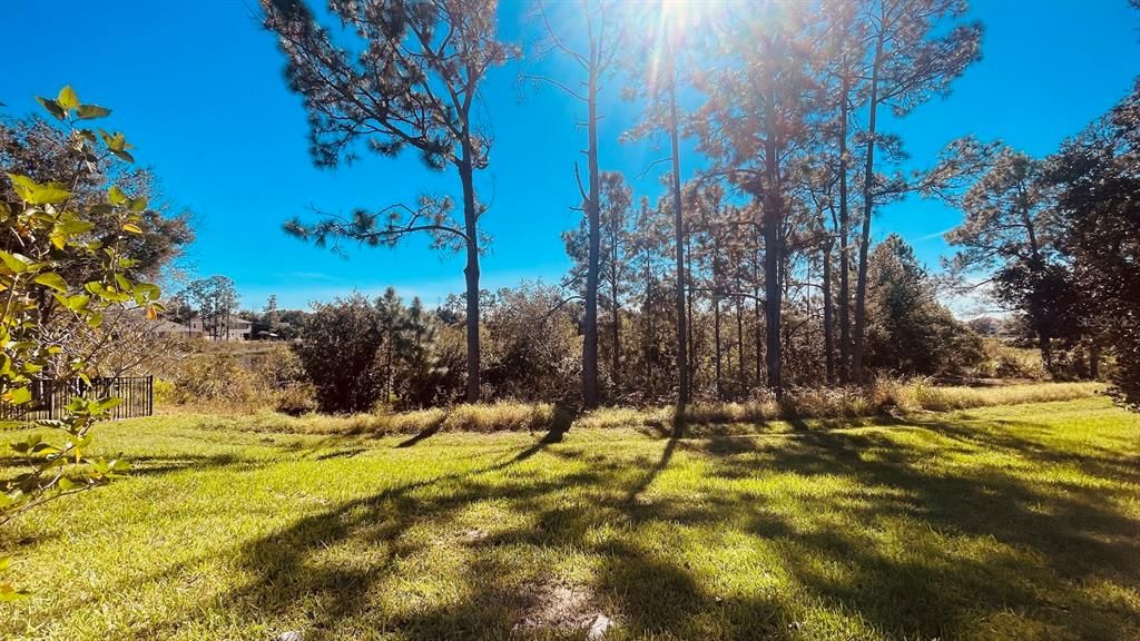 出租: $2,900 (4 贝兹, 3 浴室, 2432 平方英尺)