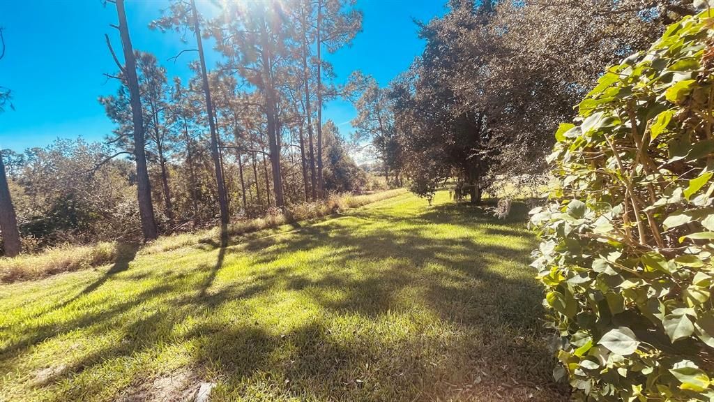 出租: $2,900 (4 贝兹, 3 浴室, 2432 平方英尺)