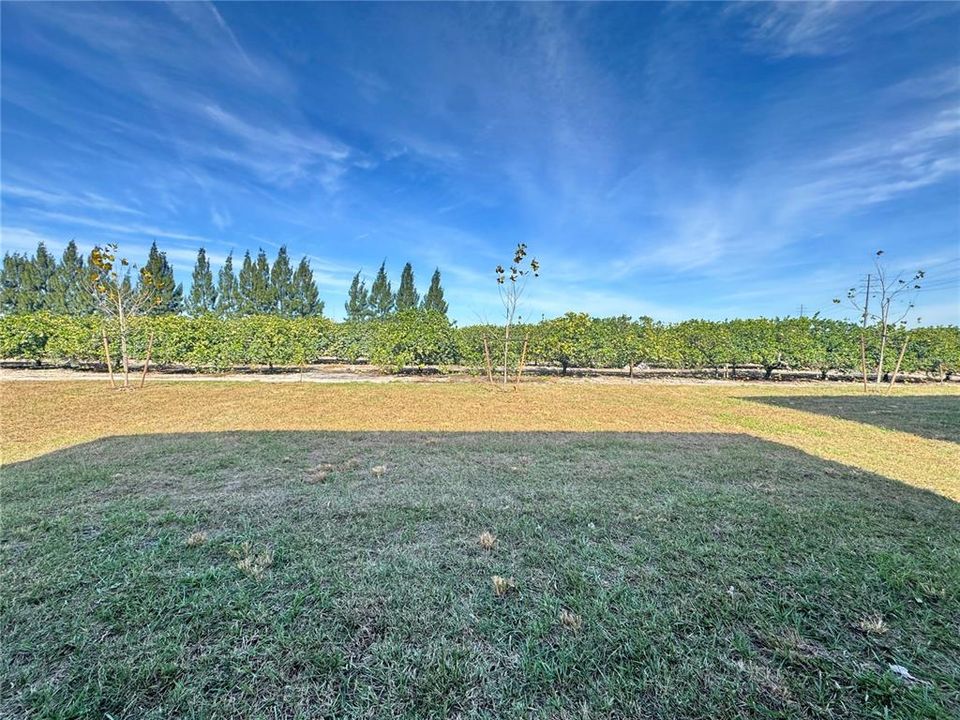 En Renta: $2,250 (5 camas, 2 baños, 2112 Pies cuadrados)