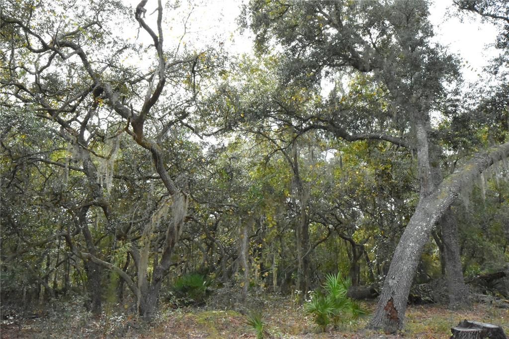 На продажу: $284,900 (3 спален, 2 ванн, 1782 Квадратных фут)