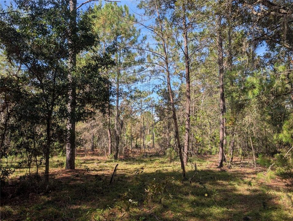 待售: $39,900 (2.60 acres)