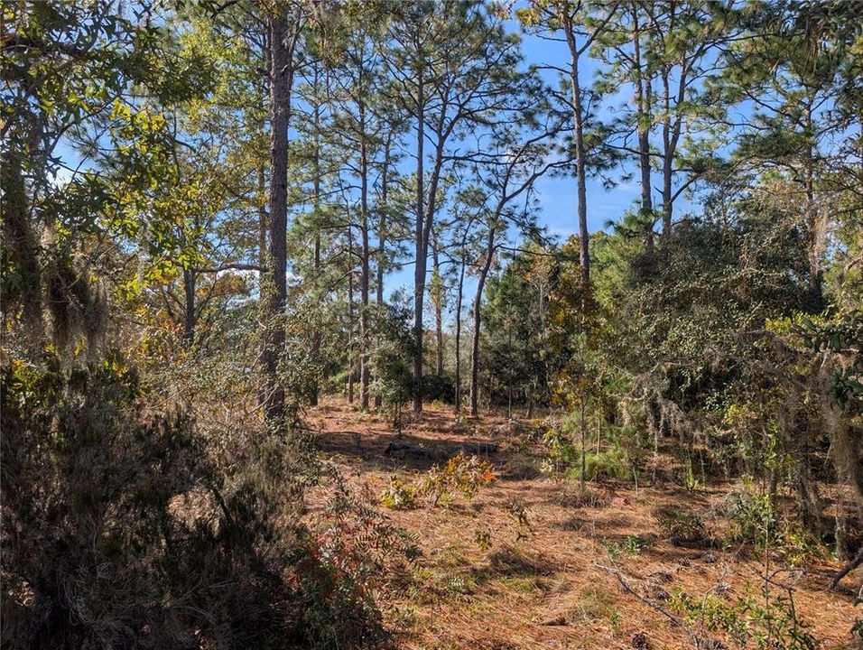 待售: $39,900 (2.60 acres)