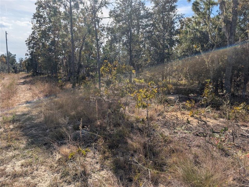 待售: $39,900 (2.60 acres)