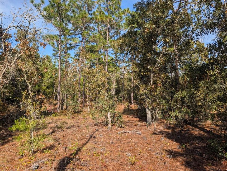 待售: $39,900 (2.60 acres)